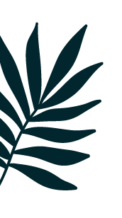 hoja der